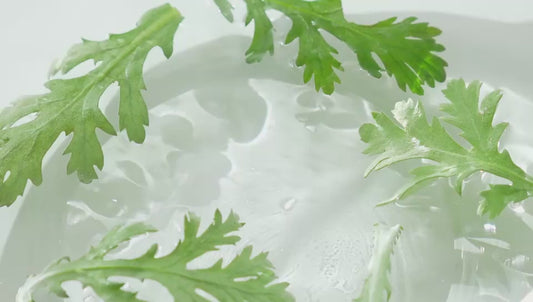 SELENUS ARTEMISIA CALMING US CLEANSING FOAM