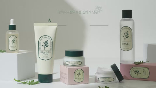 Artemisia Calming Water Cream - Lightweight Soothing Moisturizer | HEARTLIFT